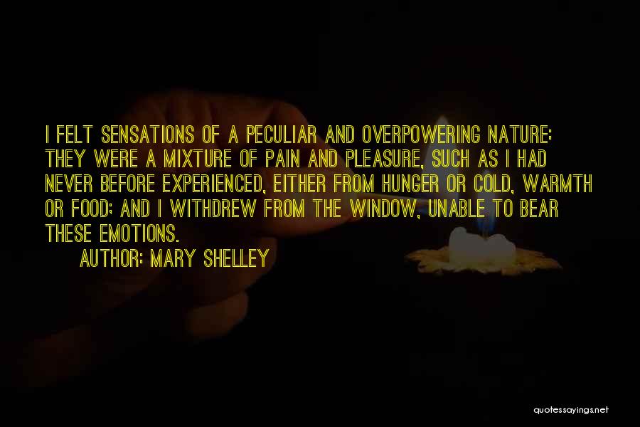 Mary Shelley Quotes 923452