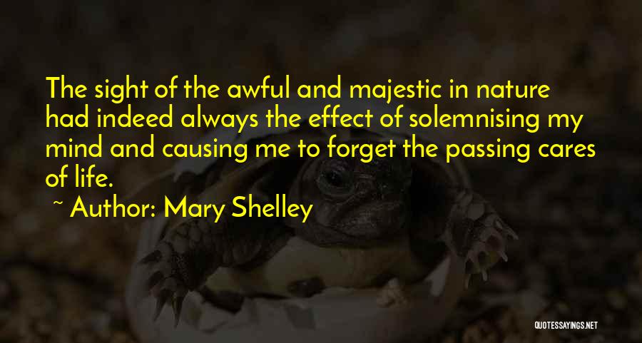 Mary Shelley's Life Quotes By Mary Shelley