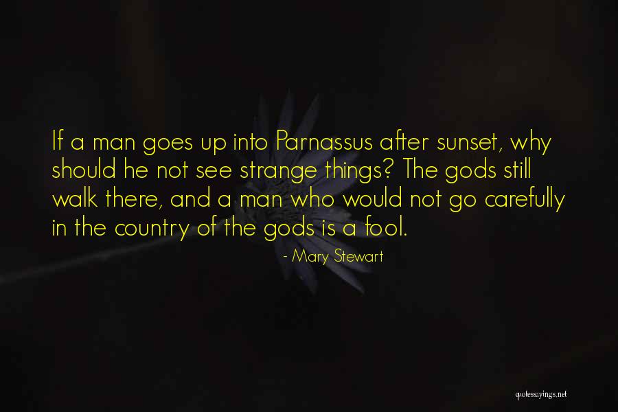 Mary Stewart Quotes 367759