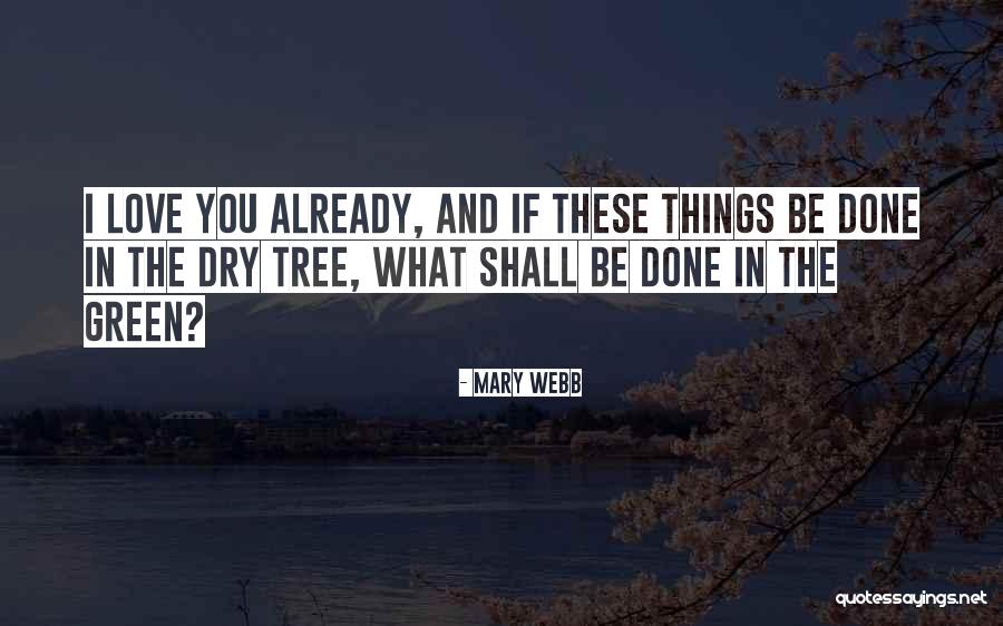 Mary Webb Quotes 1762297