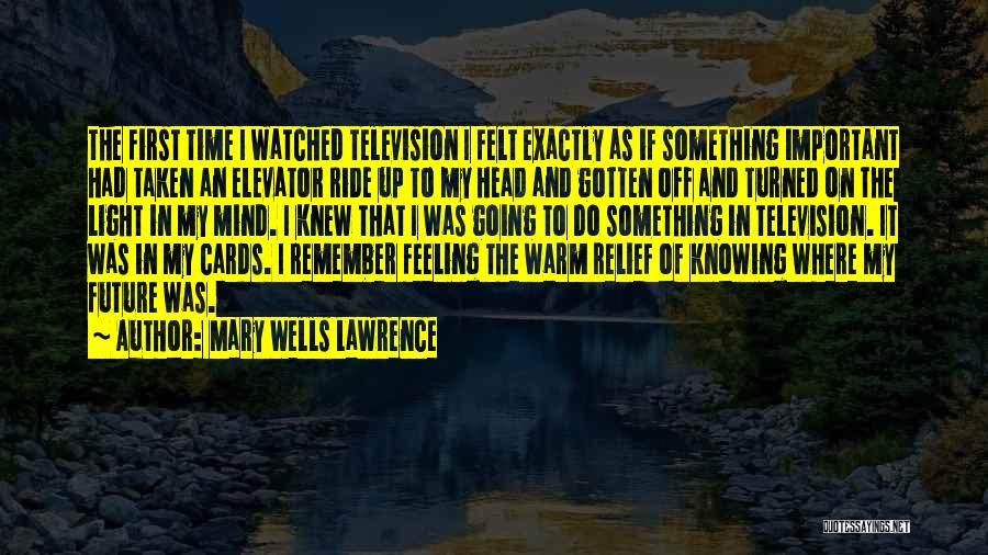 Mary Wells Lawrence Quotes 755041