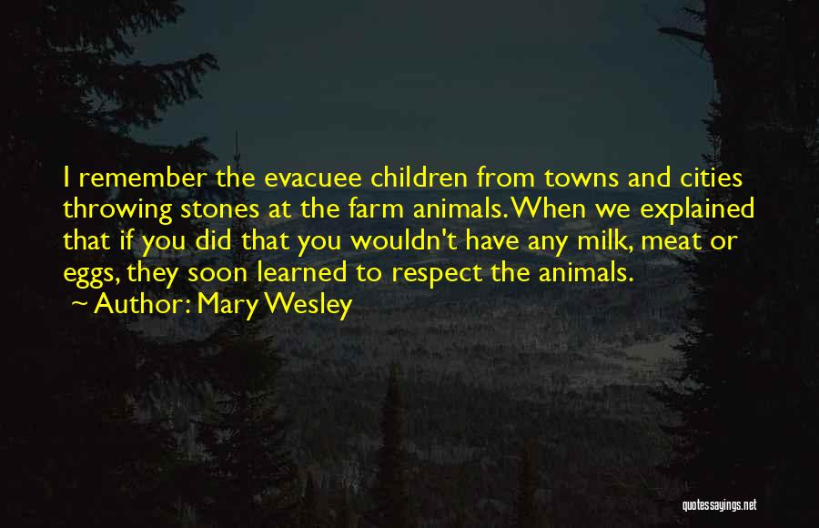 Mary Wesley Quotes 1522532