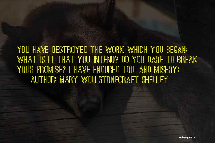 Mary Wollstonecraft Shelley Quotes 1267195