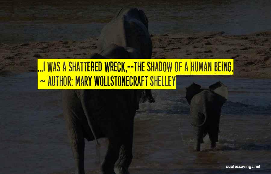 Mary Wollstonecraft Shelley Quotes 1405553