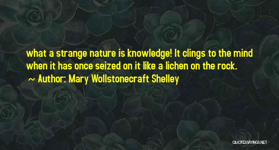 Mary Wollstonecraft Shelley Quotes 1544961