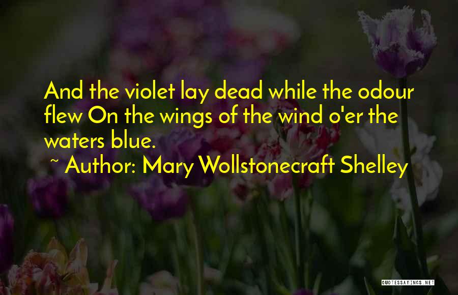 Mary Wollstonecraft Shelley Quotes 2036629