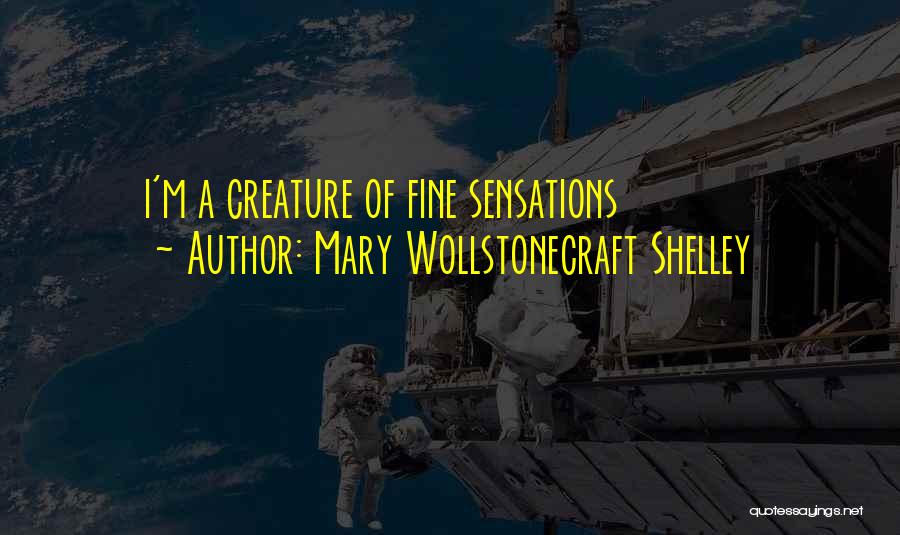 Mary Wollstonecraft Shelley Quotes 2082995