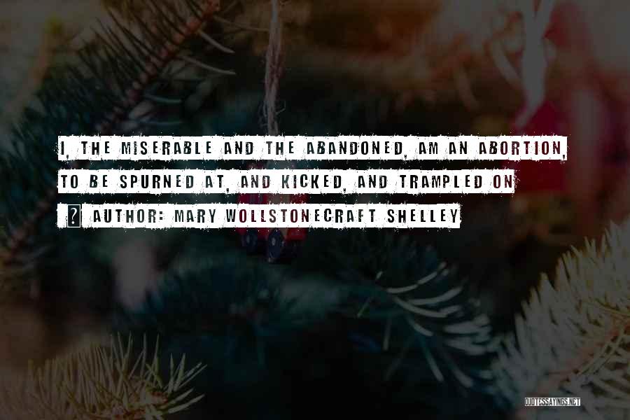 Mary Wollstonecraft Shelley Quotes 427670
