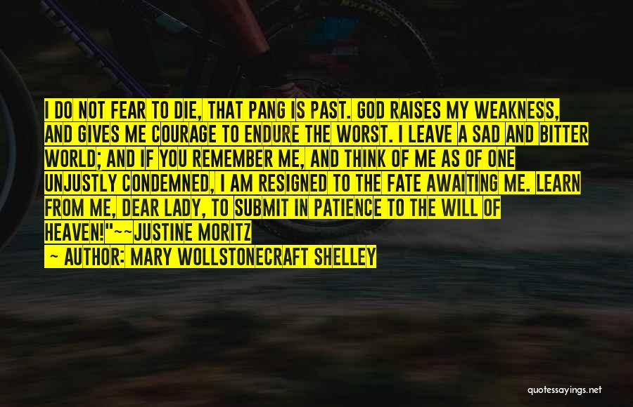 Mary Wollstonecraft Shelley Quotes 581679