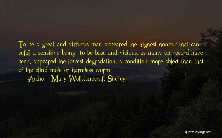 Mary Wollstonecraft Shelley Quotes 591765