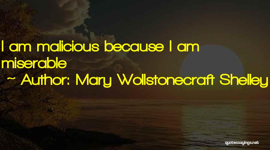 Mary Wollstonecraft Shelley Quotes 910707