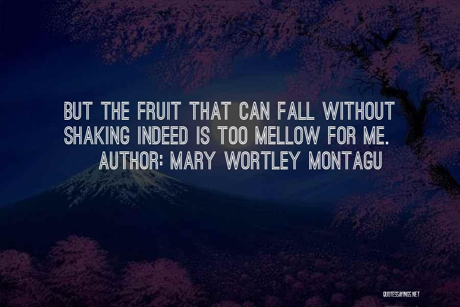 Mary Wortley Montagu Quotes 1516973