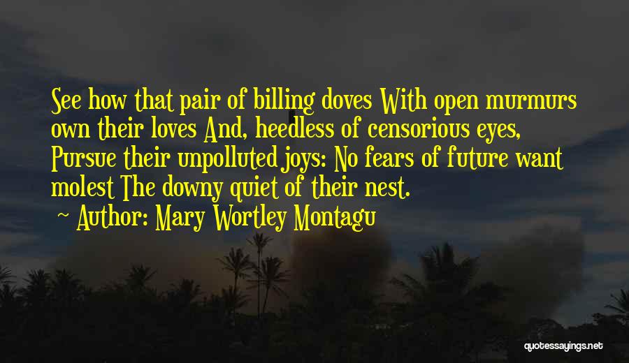 Mary Wortley Montagu Quotes 906752