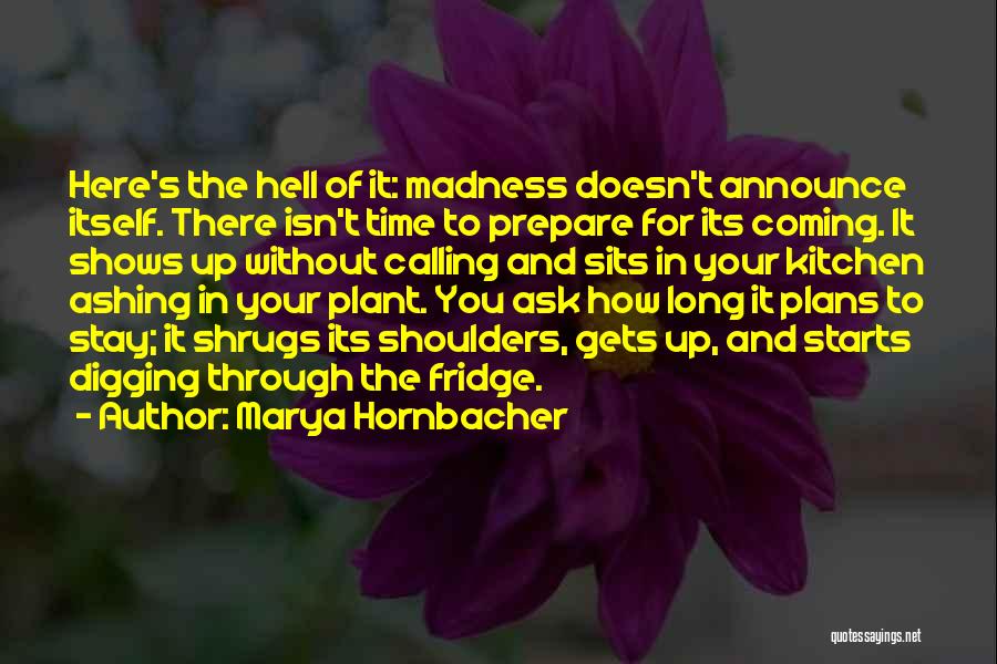 Marya Hornbacher Quotes 1074354