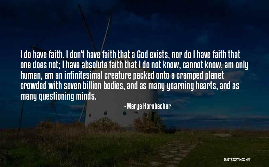 Marya Hornbacher Quotes 1482109