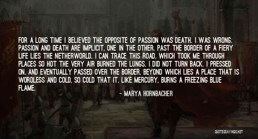 Marya Hornbacher Quotes 1661815