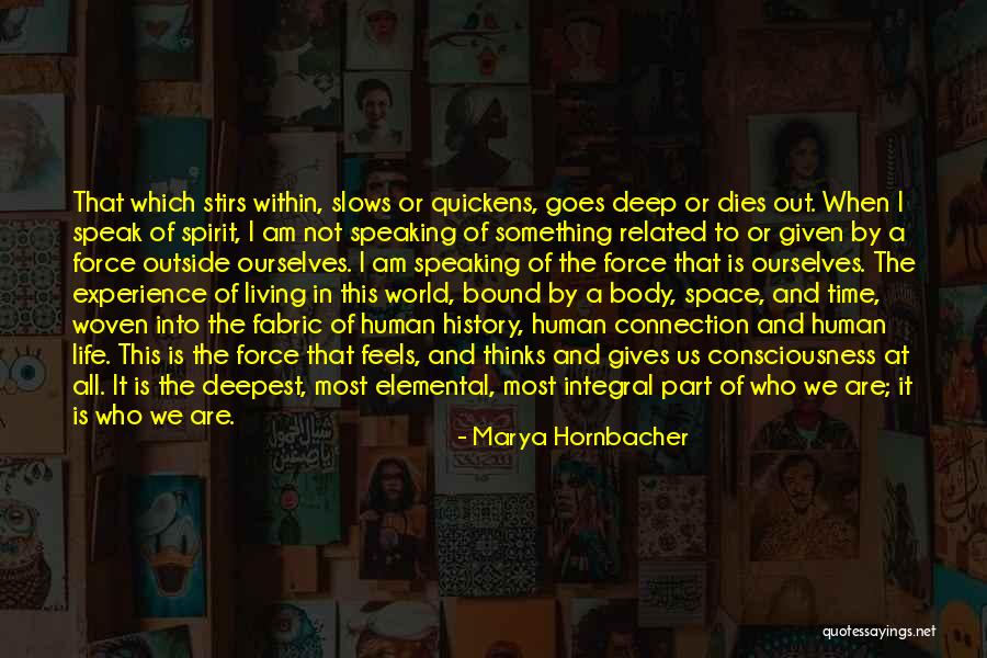 Marya Hornbacher Quotes 2020024