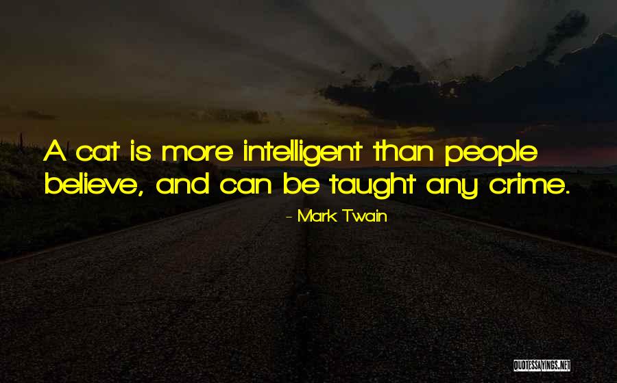 Maryam Amirebrahimi Quotes By Mark Twain