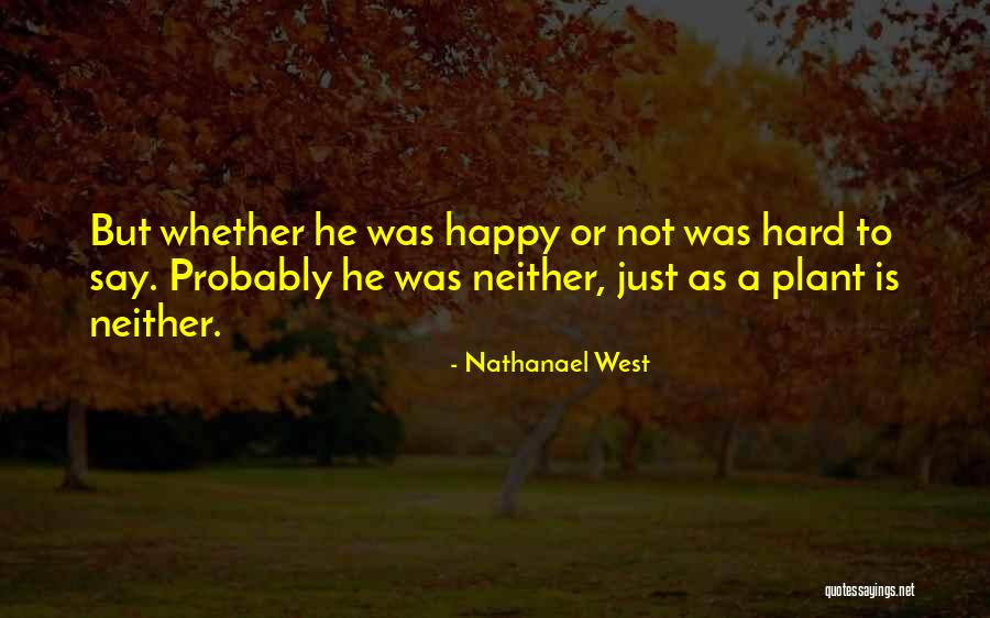 Marybella Quotes By Nathanael West Marybella Quotes By Nathanael West