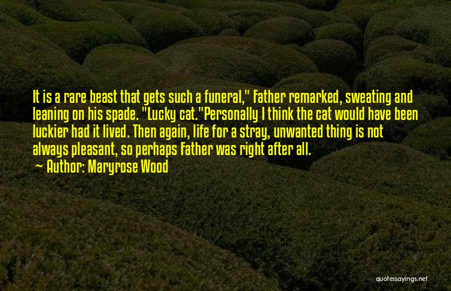 Maryrose Wood Quotes 1558132