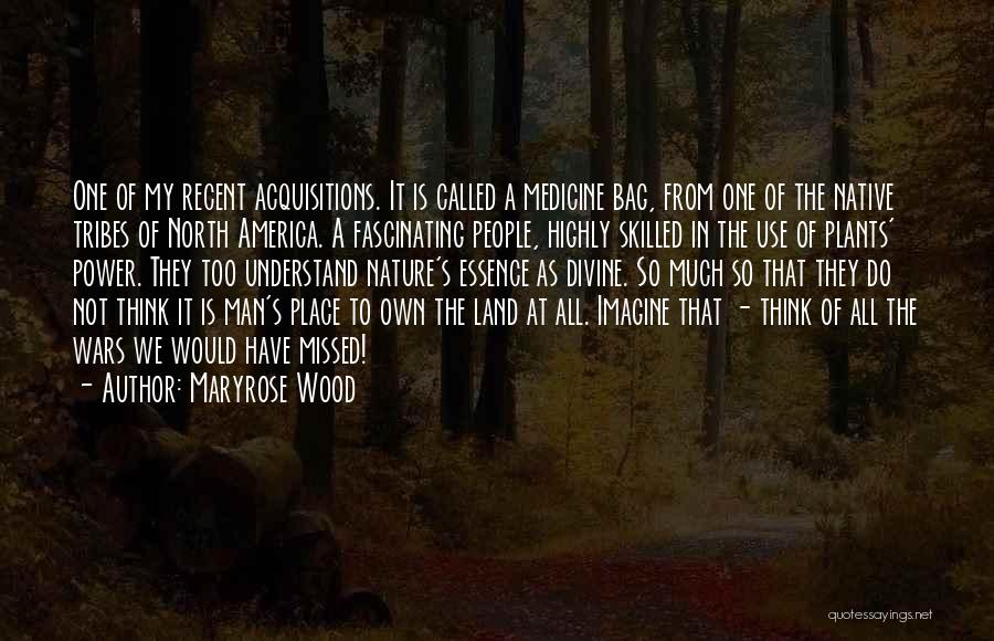 Maryrose Wood Quotes 1985569