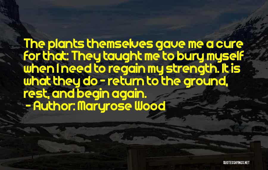 Maryrose Wood Quotes 245054