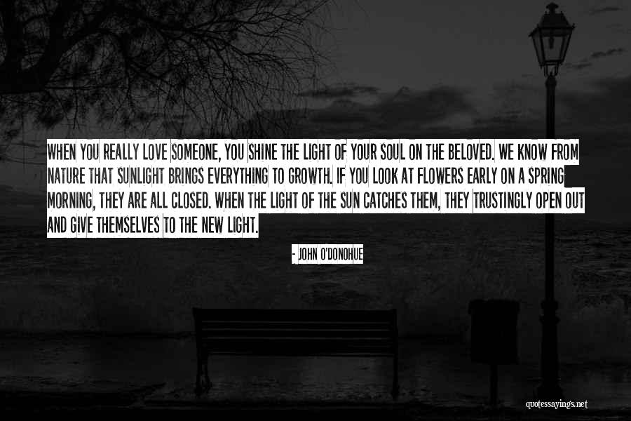 Marysia Bathing Quotes By John O'Donohue Marysia Bathing Quotes By John O'Donohue