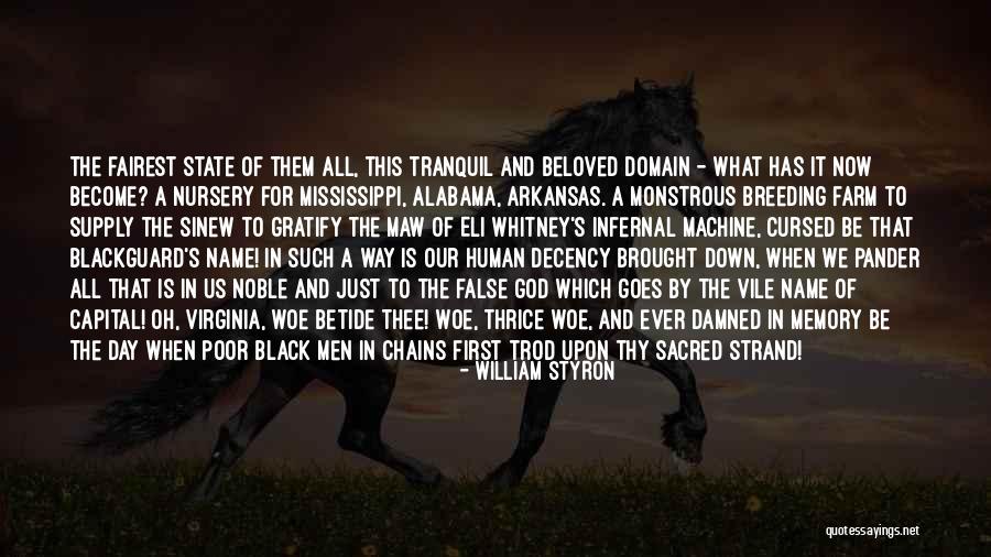 Marzban Antia Quotes By William Styron Marzban Antia Quotes By William Styron