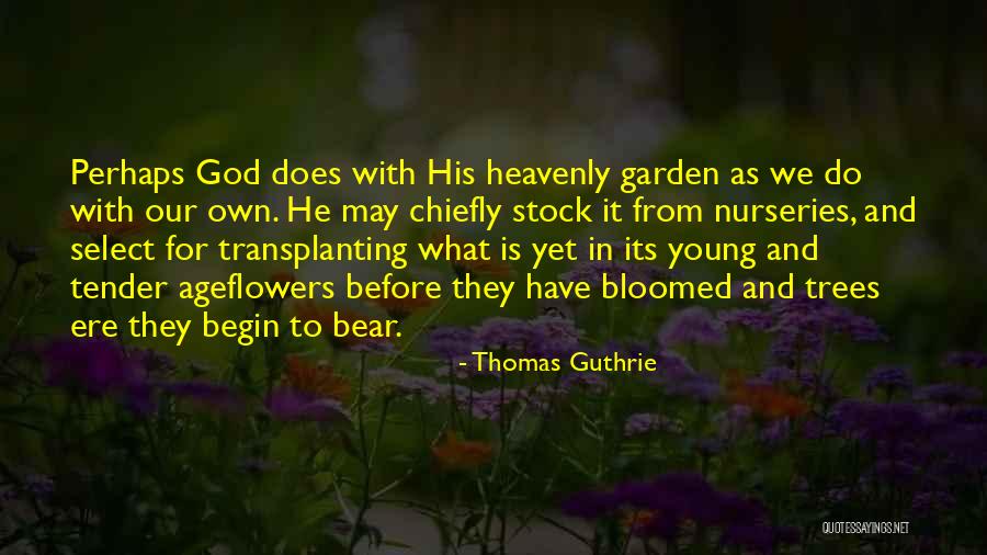 Marzenia Do Spelnienia Quotes By Thomas Guthrie Marzenia Do Spelnienia Quotes By Thomas Guthrie