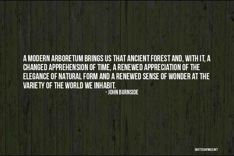 Marzonis Brick Quotes By John Burnside Marzonis Brick Quotes By John Burnside