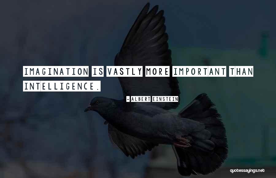 Marzouk Mansour Quotes By Albert Einstein