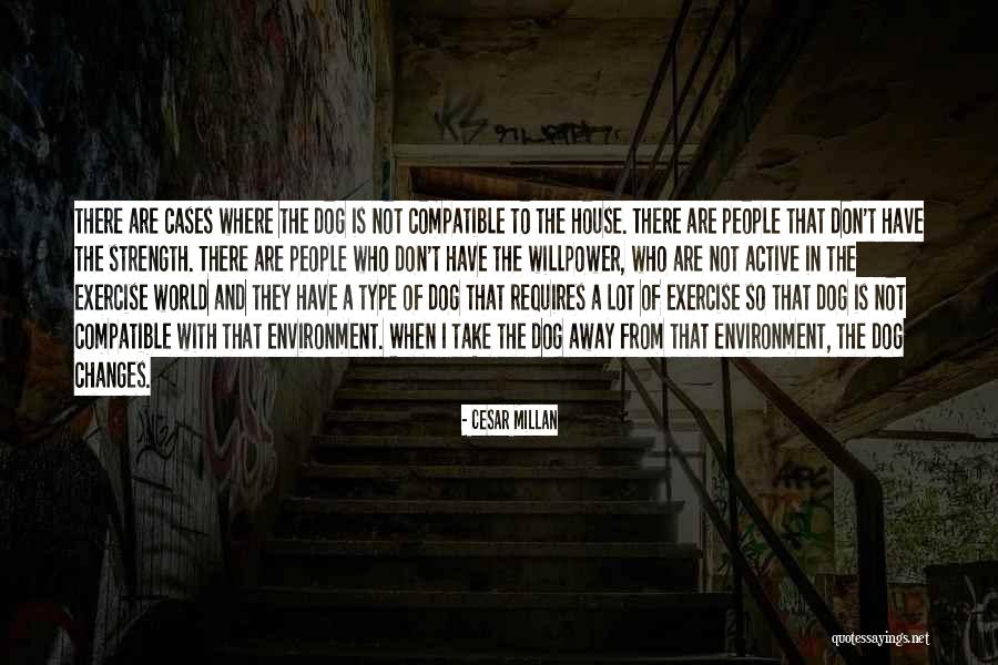 Masakit Sa Damdamin Na Quotes By Cesar Millan Masakit Sa Damdamin Na Quotes By Cesar Millan