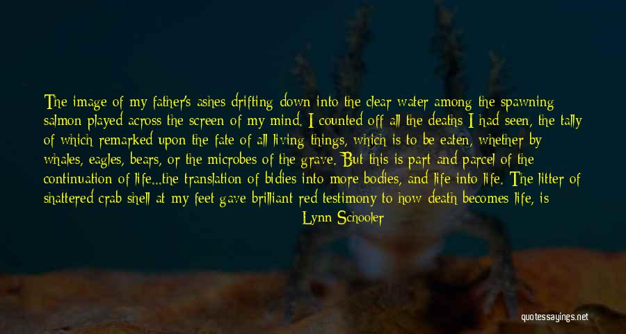 Masanga Zimbabwe Quotes By Lynn Schooler Masanga Zimbabwe Quotes By Lynn Schooler