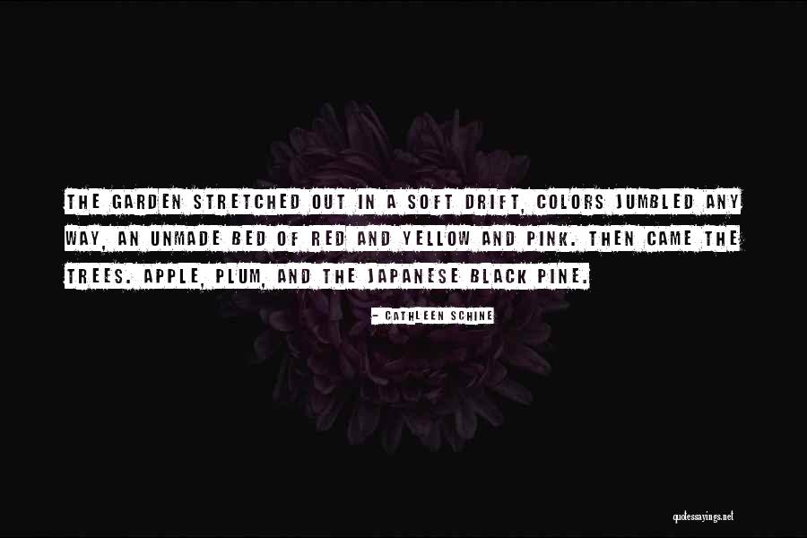 Masaood Quotes By Cathleen Schine Masaood Quotes By Cathleen Schine