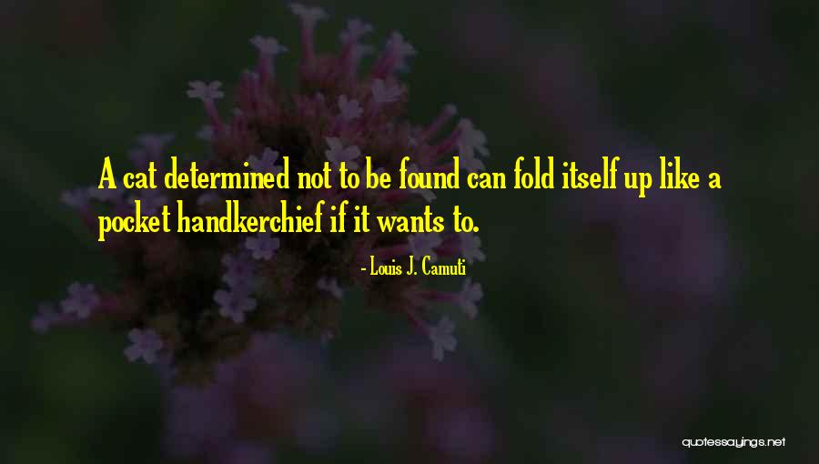 Mascagni Clinton Quotes By Louis J. Camuti Mascagni Clinton Quotes By Louis J. Camuti