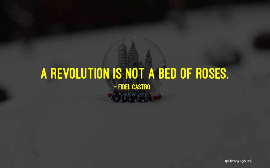 Mascardi Park Quotes By Fidel Castro Mascardi Park Quotes By Fidel Castro