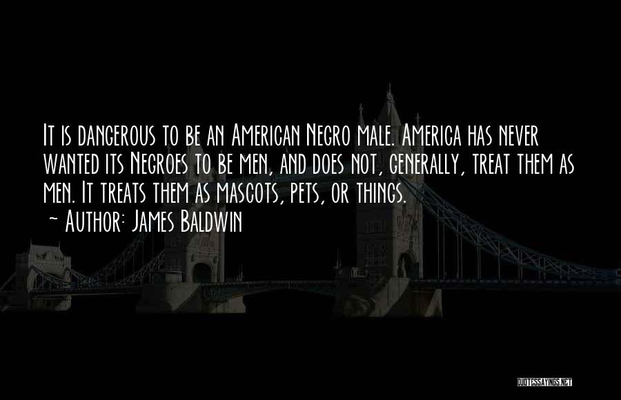 Mascots Quotes By James Baldwin