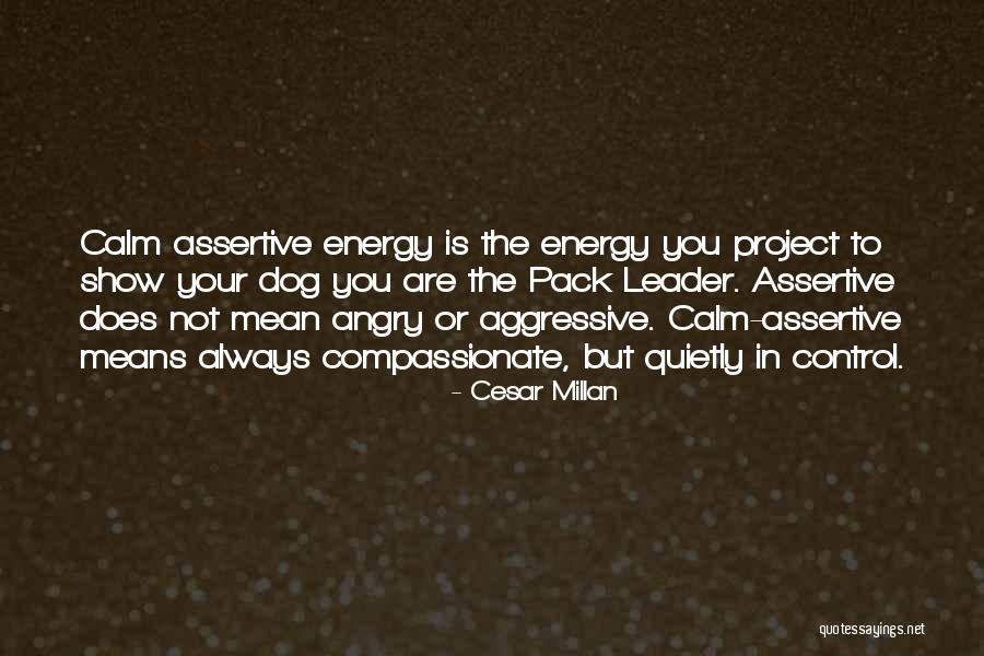 Maseo Discogs Quotes By Cesar Millan Maseo Discogs Quotes By Cesar Millan