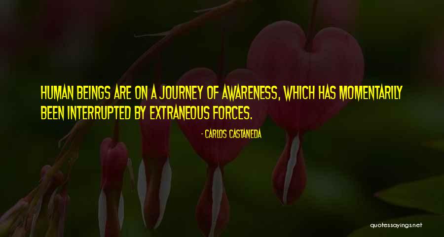 Maseo Yamashiro Quotes By Carlos Castaneda Maseo Yamashiro Quotes By Carlos Castaneda