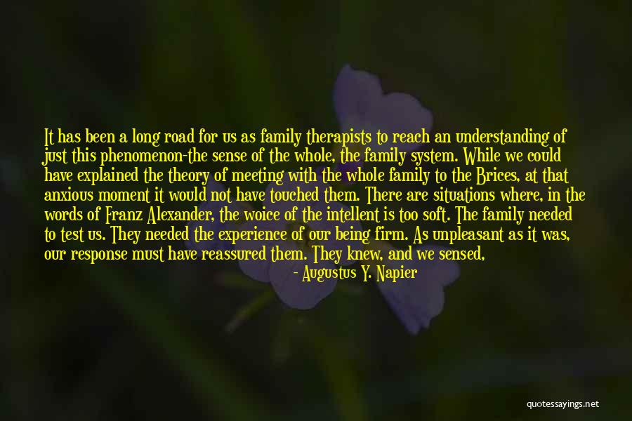Mashael Quotes By Augustus Y. Napier Mashael Quotes By Augustus Y. Napier
