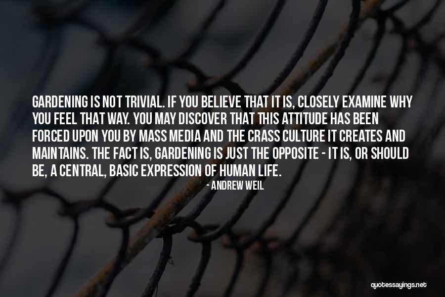 Mashari Al Quotes By Andrew Weil Mashari Al Quotes By Andrew Weil