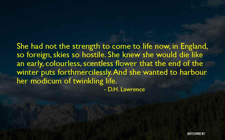 Mashiko Ceramics Quotes By D.H. Lawrence Mashiko Ceramics Quotes By D.H. Lawrence