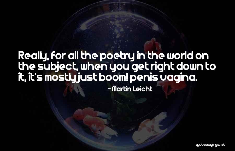 Mashouf Performing Quotes By Martin Leicht Mashouf Performing Quotes By Martin Leicht