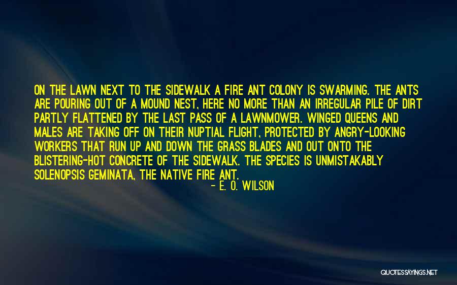Masih Quotes By E. O. Wilson Masih Quotes By E. O. Wilson