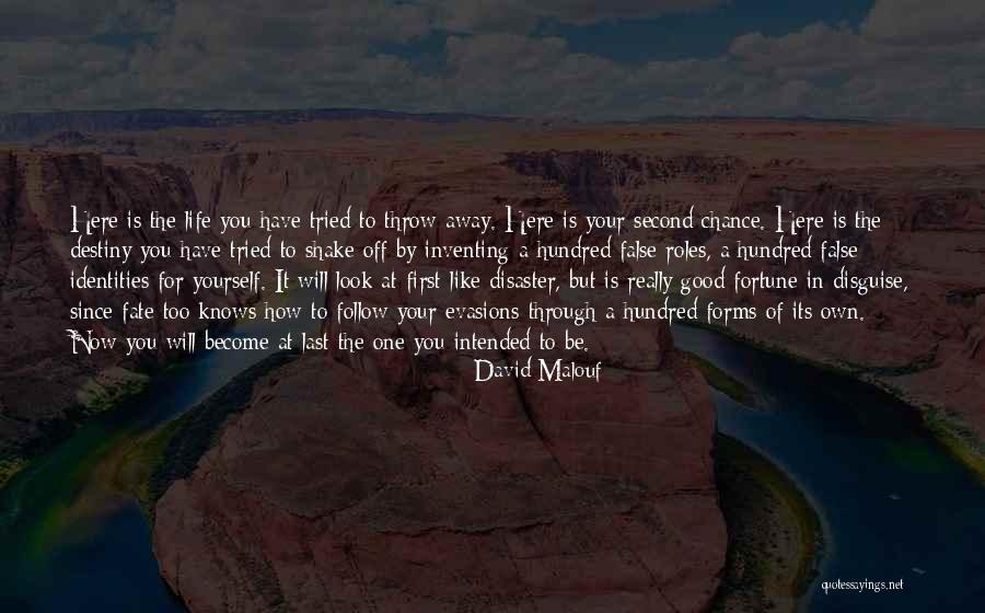 Mask Disguise Quotes By David Malouf