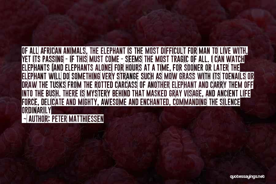 Masked Quotes By Peter Matthiessen