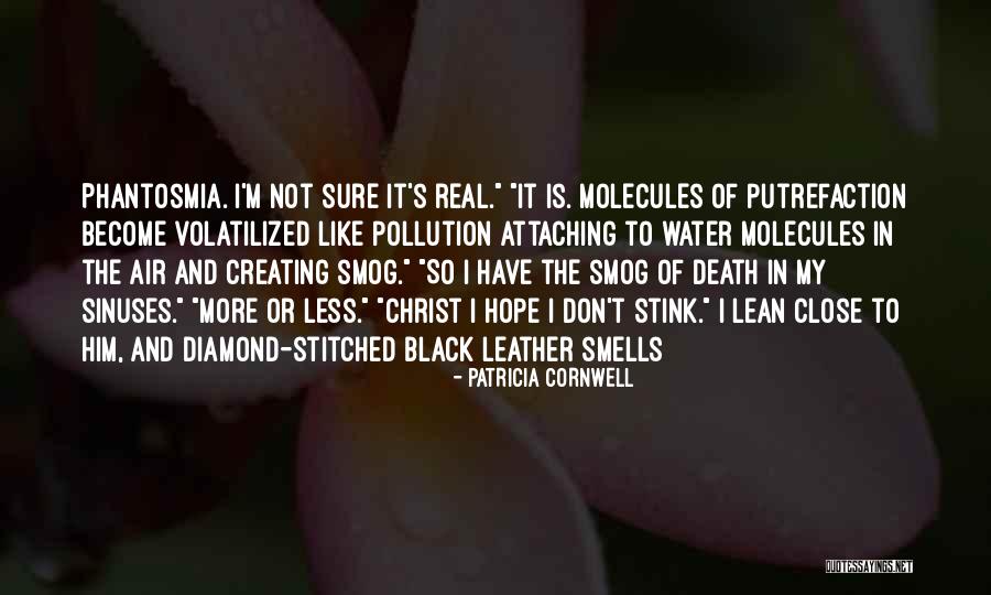 Maslon Cpa Quotes By Patricia Cornwell Maslon Cpa Quotes By Patricia Cornwell
