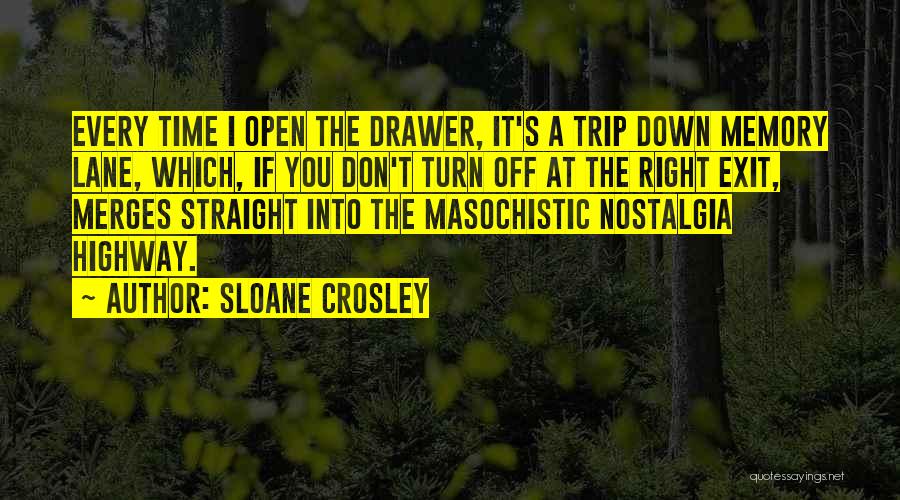 Masochistic Quotes By Sloane Crosley