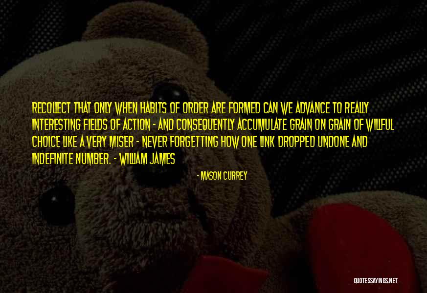 Mason Currey Quotes 1859729 Mason Currey Quotes 1859729