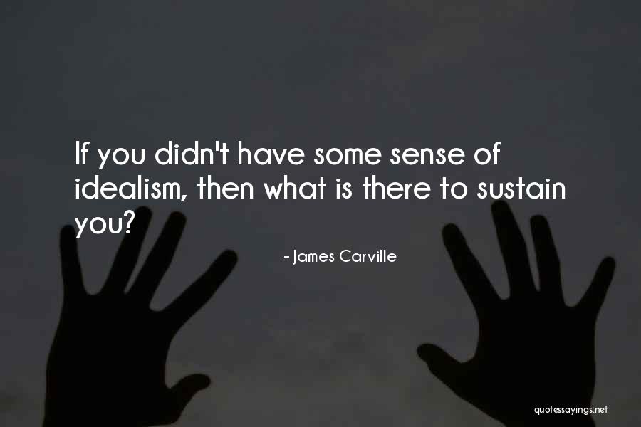 Masoomeh Faghankhani Quotes By James Carville Masoomeh Faghankhani Quotes By James Carville